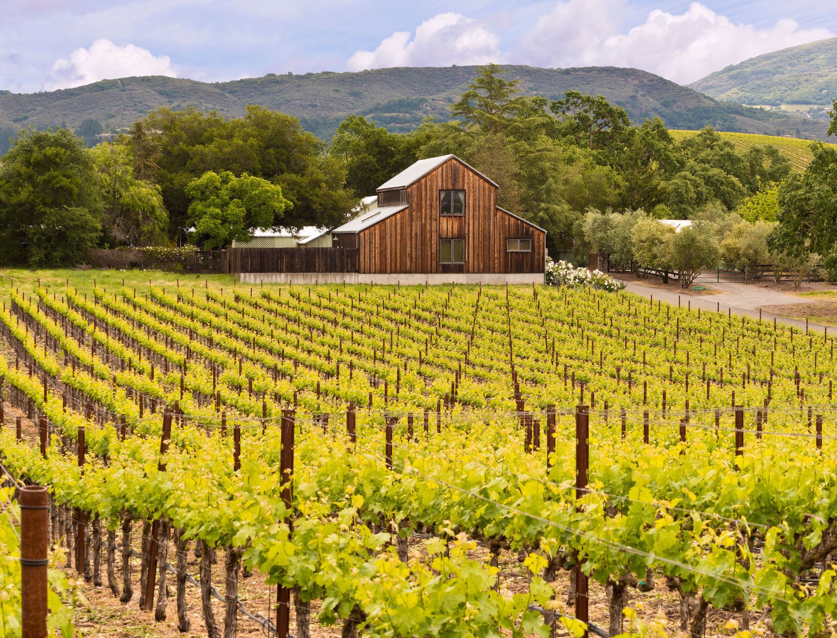 How to Do Napa and Sonoma in 2 Days