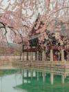 48 Hours in Seoul