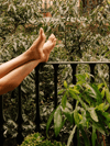 Your 3-Step Plan for Silky, Summer-Ready Legs