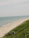 The Hamptons Guide