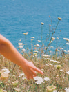 June Horoscopes for Every Sign