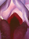 The Treatments Women Are Using to Save Their Sex Lives After Menopause