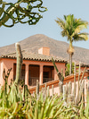 Saturday, Sorted: A Botanical World Tour at Lotusland and Local Oysters at Little Mountain