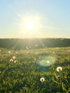 Suddenly Allergic to Dust or Pollen? Perimenopause May Be Rewiring Your Immune System