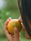 How to Use Fragrance to Shift Your Energy, Mood, and Focus