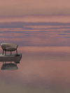Can You Shrink Months of Therapy Into One Session?