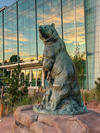 Denver Museum of Nature & Science