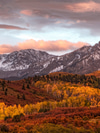 The Aspen Guide