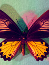 Don’t Call It Menopause: Embracing the Change