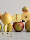 What to Bake, What to Eat Fresh: A Pocket Guide to Apples