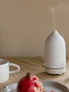 Ask Gerda: What’s the Point of Diffusers and Essential Oils?