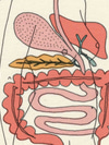 Irritable Bowel Syndrome (IBS)