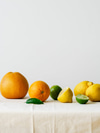 Ask Gerda: All Your Detox Questions