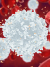 Ask Gerda: Should I Take Vitamin C for Immunity?