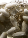 Ask Gerda: Are Lectins in Foods Hurting My Gut?
