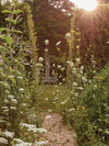 How to Treat and Prevent Seasonal Allergy Symptoms