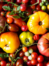 Do Nightshade Vegetables Cause Inflammation?