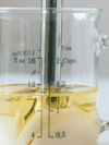 Paleo Homemade Mayo