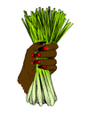 Lemongrass Oil