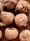 Coconut Oat Milk Chocolate Truffles