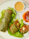 Summer Salad Rolls