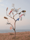 The Invisible Health Threat of Microplastics