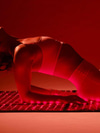 3 Ways to Create Your Own Infrared Sauna Sanctuary