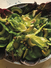 Little Gems with Avocado, Pistachios, and Miso-Honey Dressing