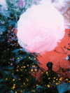 What to Know Before Booking a Psychedelic Retreat