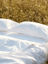 The goop Guide to Creating the Ultimate Sleep Nest