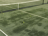 The Courts
