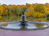 Central Park