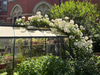 Jefferson Market Garden