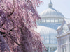 New York Botanical Garden