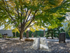 The Isamu Noguchi Foundation and Garden Museum