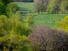 Prospect Park