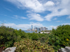 The Hills on Governors Island