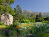 Santa Barbara Botanical Garden