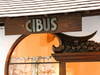 Cibus