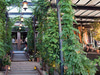 Gallow Green