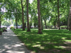 Paddington Street Gardens Playground