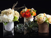 Grange Hall Floral