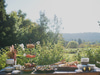 Jessica Lasky Catering