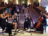 Synchro Strings