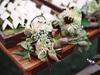 Three Branches Floral Design