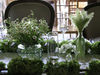 The Velvet Garden Flowers