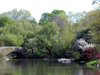Central Park