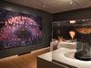 SHOP Cooper Hewitt