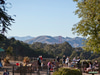 Julius Kahn Playground