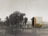 De Vera